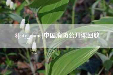 武安中国消防公开课回放