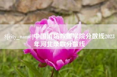 武安中国消防救援学院分数线2023年河北录取分数线