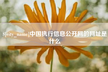 武安中国执行信息公开网的网址是什么