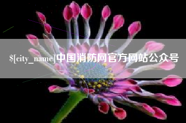 武安中国消防网官方网站公众号