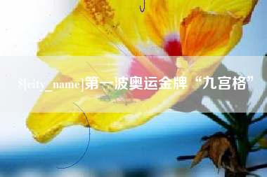 武安第一波奥运金牌“九宫格”