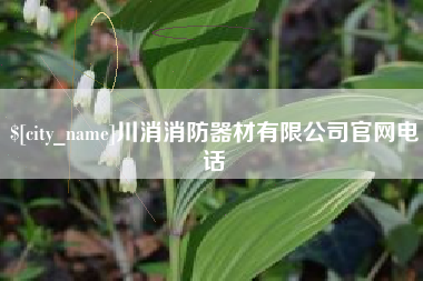 武安川消消防器材有限公司官网电话