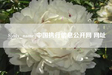 武安中国执行信息公开网 网址