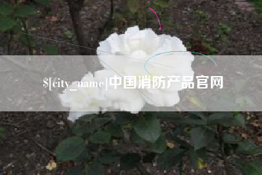 武安中国消防产品官网