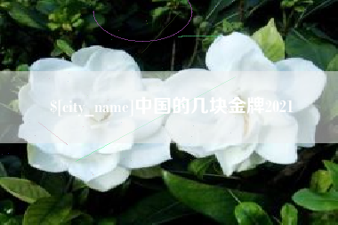 武安中国的几块金牌2021