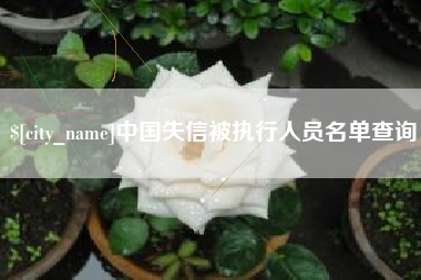 武安中国失信被执行人员名单查询