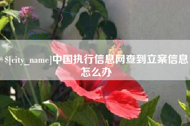 武安中国执行信息网查到立案信息怎么办