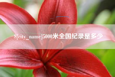武安5000米全国纪录是多少
