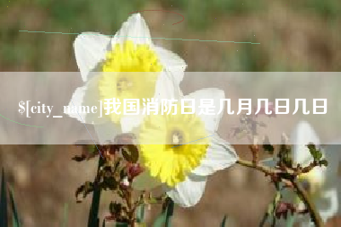 武安我国消防日是几月几日几日