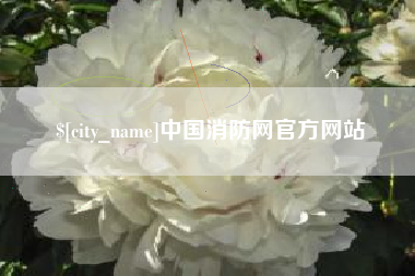 武安中国消防网官方网站