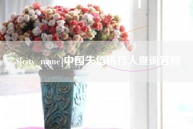 武安中国失信执行人查询官网