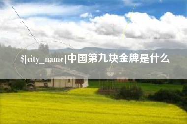 武安中国第九块金牌是什么