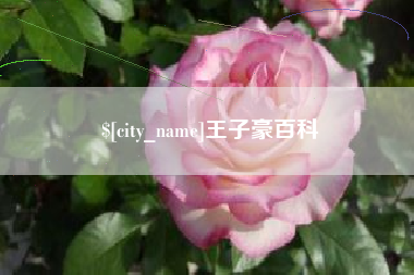 武安王子豪百科