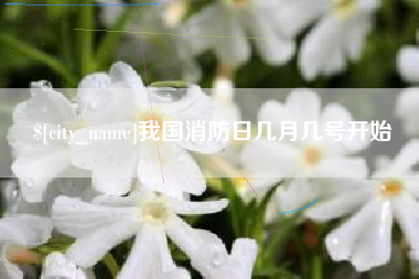 武安我国消防日几月几号开始