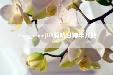 武安119消防日哪年开始