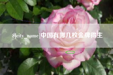 武安中国有哪几枚金牌得主