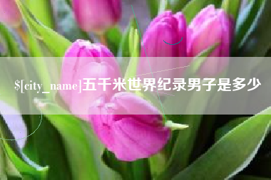 武安五千米世界纪录男子是多少