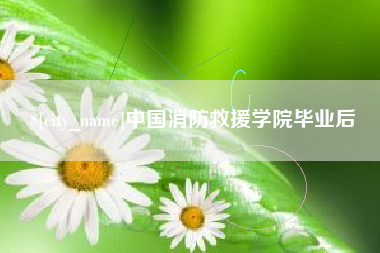 武安中国消防救援学院毕业后
