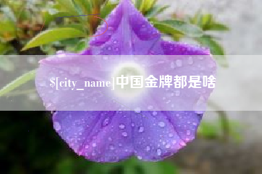 武安中国金牌都是啥
