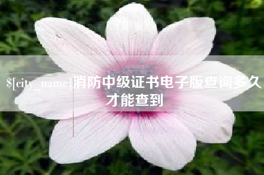 武安消防中级证书电子版查询多久才能查到