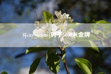 武安男子5000米金牌