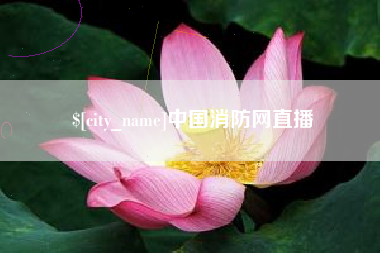 武安中国消防网直播