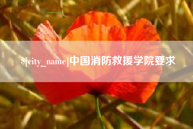 武安中国消防救援学院要求