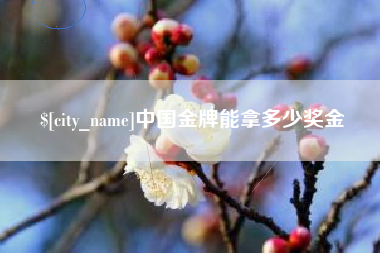 武安中国金牌能拿多少奖金