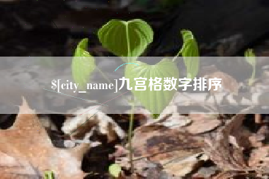 武安九宫格数字排序