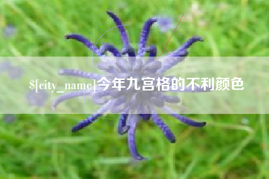 武安今年九宫格的不利颜色