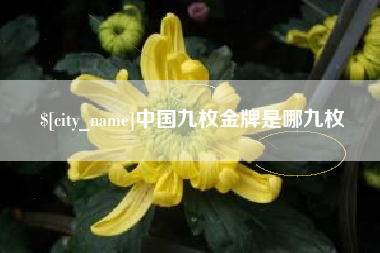 武安中国九枚金牌是哪九枚