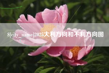 武安2025大利方向和不利方向图
