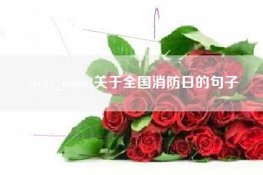 武安关于全国消防日的句子