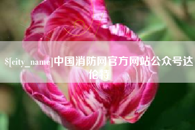 武安中国消防网官方网站公众号达伦特