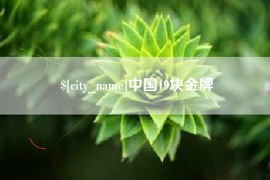 武安中国19块金牌
