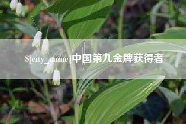 武安中国第九金牌获得者