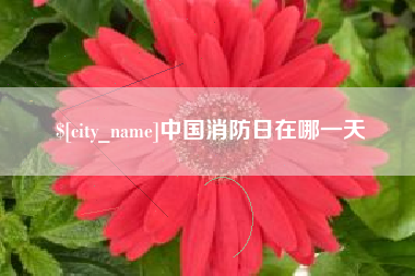 武安中国消防日在哪一天