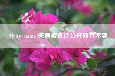 武安失信被执行公开网查不到
