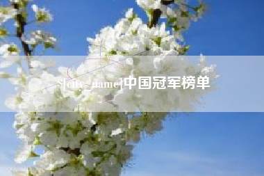 武安中国冠军榜单