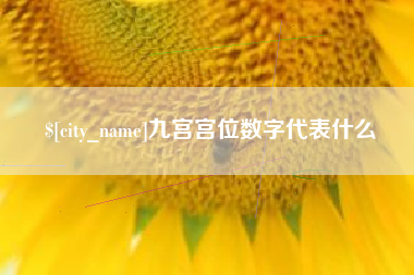 武安九宫宫位数字代表什么