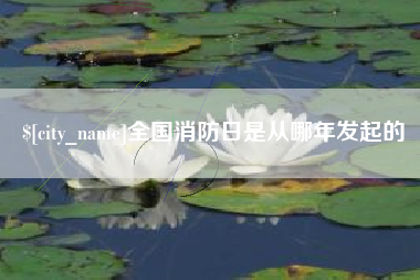 武安全国消防日是从哪年发起的