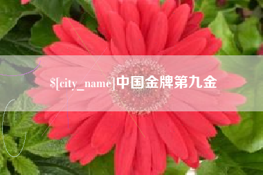 武安中国金牌第九金