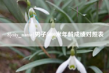 武安男子5000米年龄成绩对照表
