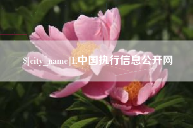 武安1.中国执行信息公开网