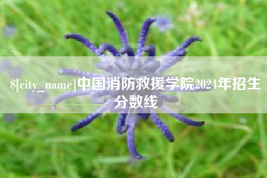 武安中国消防救援学院2024年招生分数线