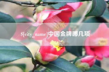 武安中国金牌哪几项
