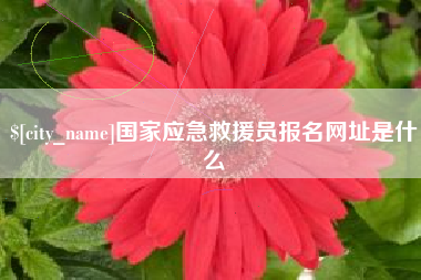 武安国家应急救援员报名网址是什么