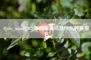 武安2021年国家消防员什么时候报名