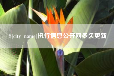 武安执行信息公开网多久更新