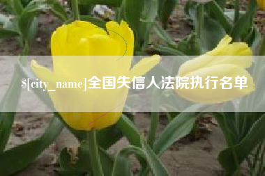 武安全国失信人法院执行名单